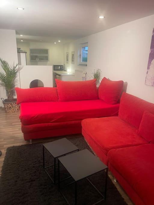 Gemuetliches Einliegerapartment, 50 Qm Trippstadt Luaran gambar