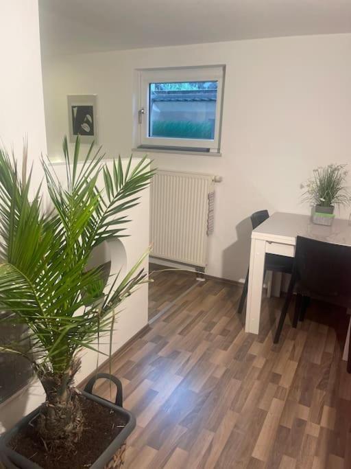 Gemuetliches Einliegerapartment, 50 Qm Trippstadt Luaran gambar
